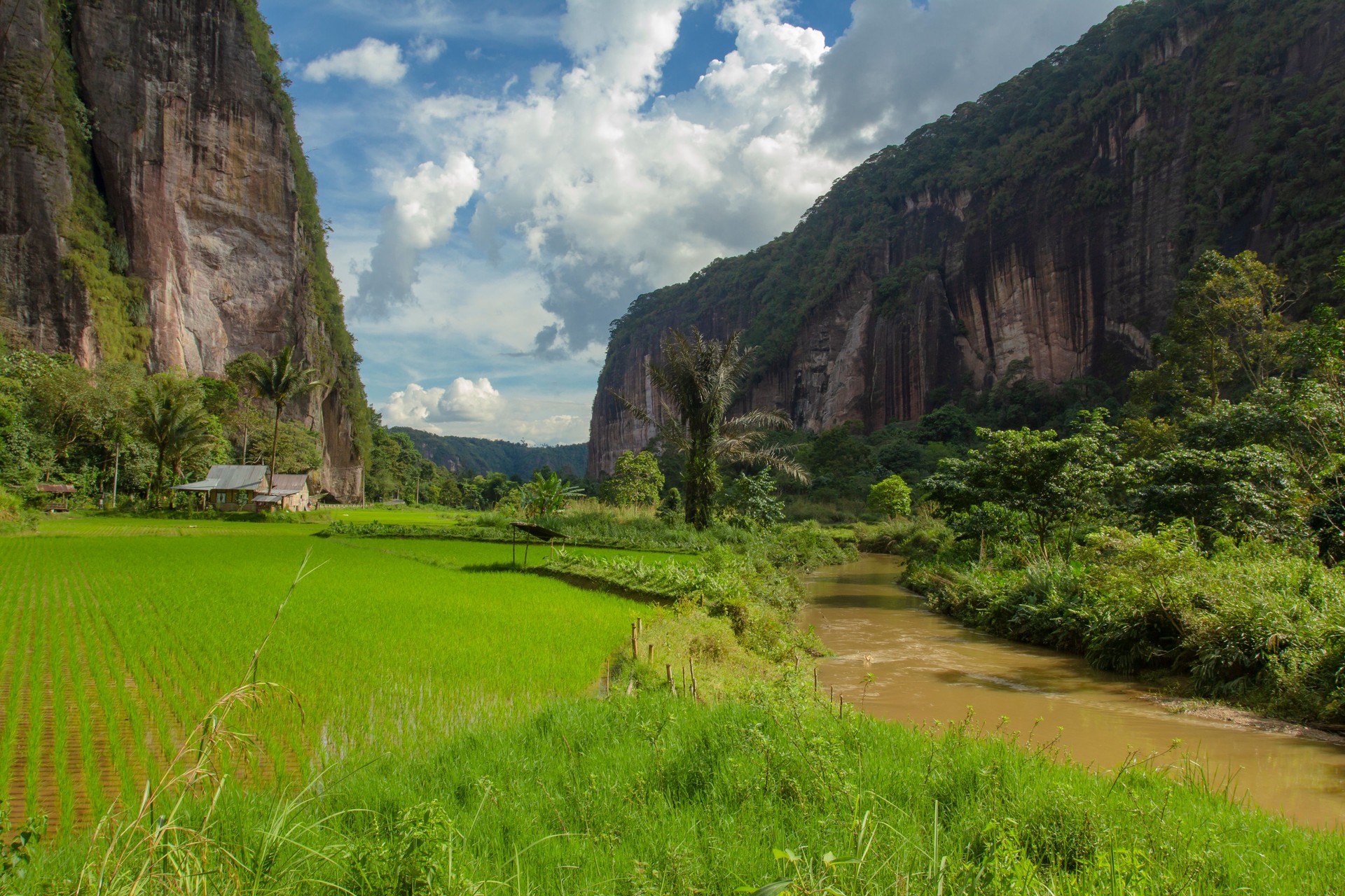 Harau Valley in Payakumbuh, West Sumatra, Indonesia